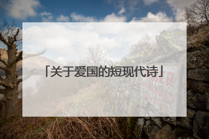 关于爱国的短现代诗