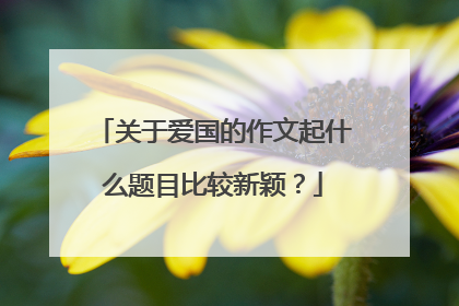 关于爱国的作文起什么题目比较新颖？