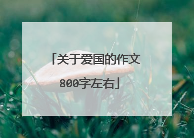 关于爱国的作文800字左右