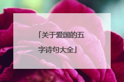 关于爱国的五字诗句大全