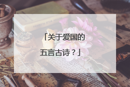 关于爱国的五言古诗?