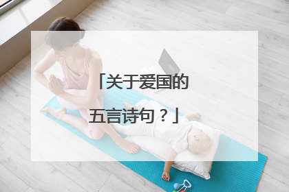 关于爱国的五言诗句？