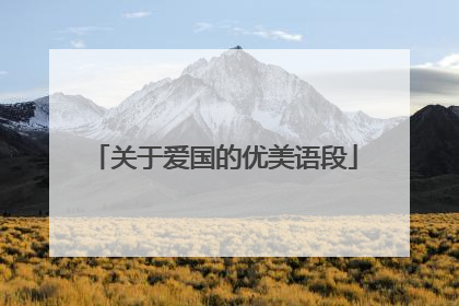 关于爱国的优美语段
