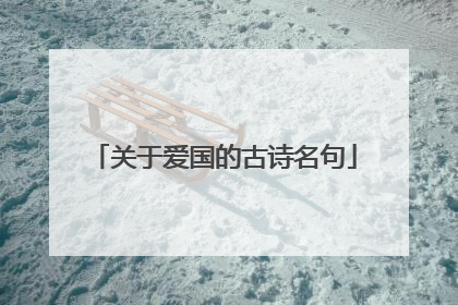 关于爱国的古诗名句