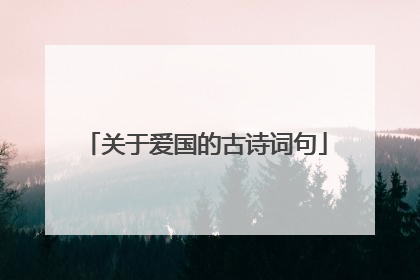 关于爱国的古诗词句