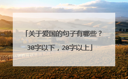 关于爱国的句子有哪些?30字以下,20字以上