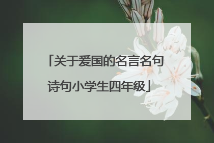 关于爱国的名言名句诗句小学生四年级