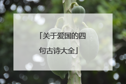 关于爱国的四句古诗大全