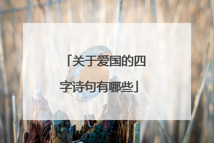关于爱国的四字诗句有哪些