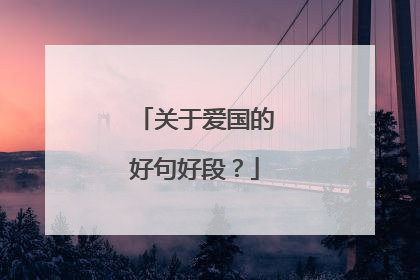 关于爱国的好句好段?