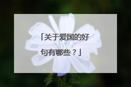 关于爱国的好句有哪些?