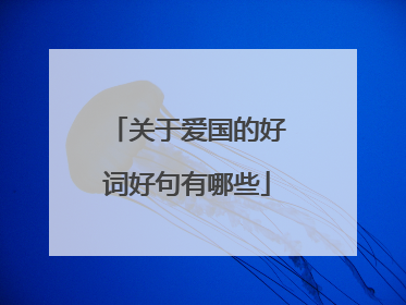 关于爱国的好词好句有哪些