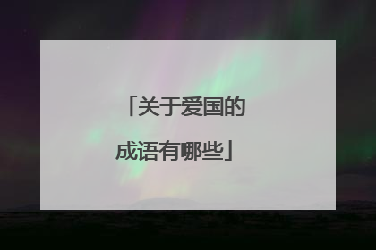 关于爱国的成语有哪些