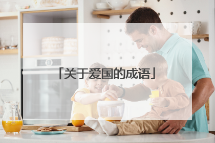 关于爱国的成语