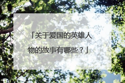 关于爱国的英雄人物的故事有哪些?