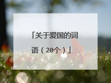 关于爱国的词语(20个)