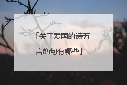 关于爱国的诗五言绝句有哪些