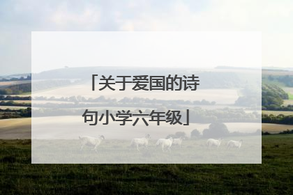 关于爱国的诗句小学六年级