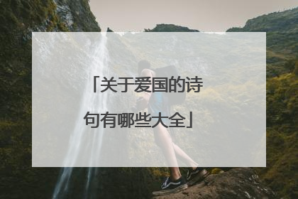 关于爱国的诗句有哪些大全