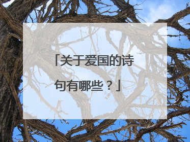关于爱国的诗句有哪些?