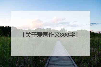关于爱国作文800字
