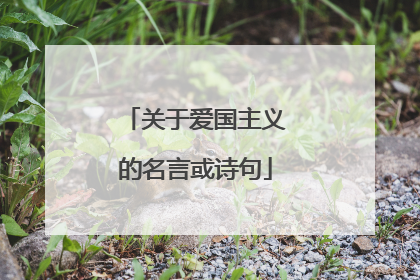 关于爱国主义的名言或诗句