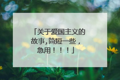 关于爱国主义的故事,简短一些,急用!!!