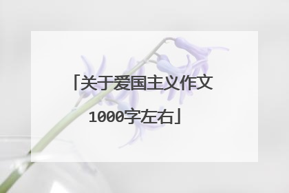 关于爱国主义作文1000字左右