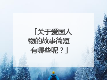 关于爱国人物的故事简短有哪些呢？