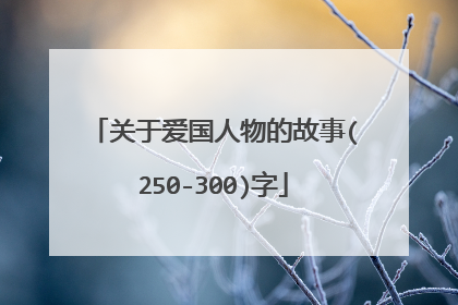 关于爱国人物的故事(250-300)字