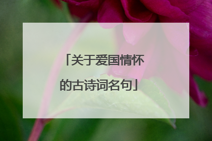 关于爱国情怀的古诗词名句