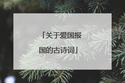 关于爱国报国的古诗词