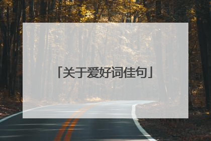 关于爱好词佳句