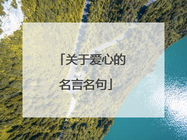 关于爱心的名言名句