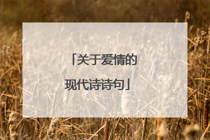 关于爱情的现代诗诗句