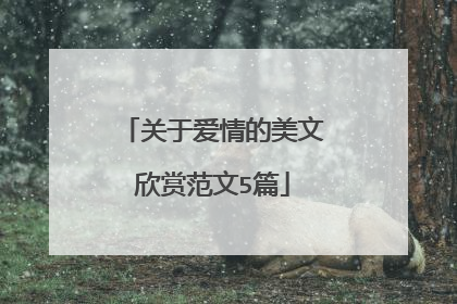 关于爱情的美文欣赏范文5篇