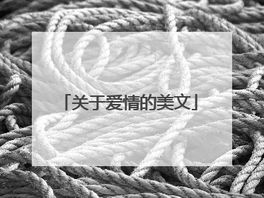 关于爱情的美文
