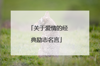 关于爱情的经典励志名言