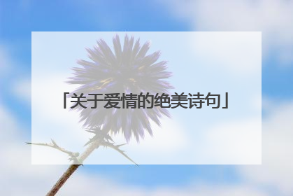 关于爱情的绝美诗句
