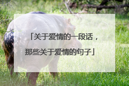 关于爱情的一段话，那些关于爱情的句子
