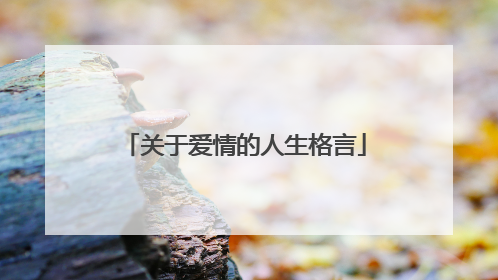 关于爱情的人生格言