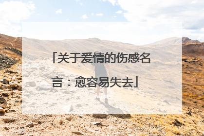 关于爱情的伤感名言:愈容易失去