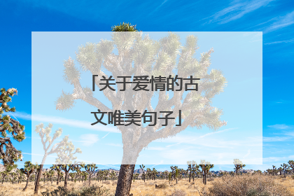 关于爱情的古文唯美句子