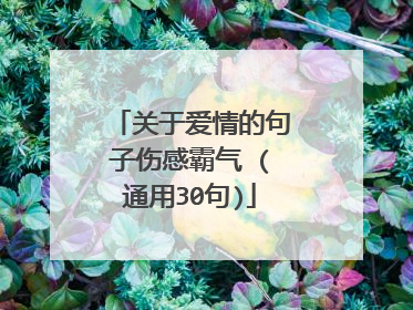 关于爱情的句子伤感霸气 (通用30句)