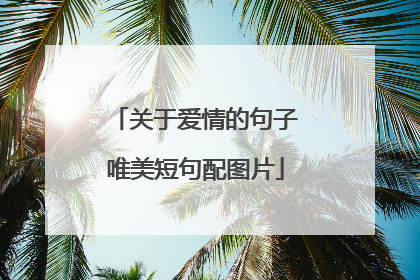 关于爱情的句子唯美短句配图片