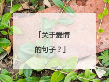 关于爱情的句子？