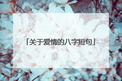 关于爱情的八字短句