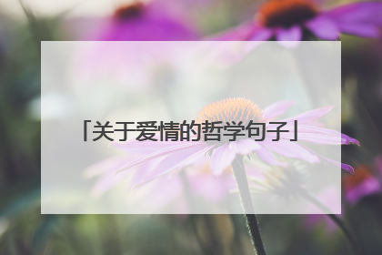 关于爱情的哲学句子