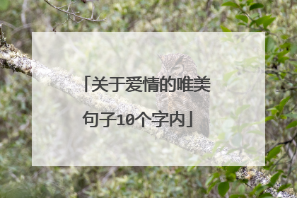 关于爱情的唯美句子10个字内