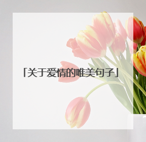 关于爱情的唯美句子